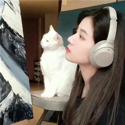 战国妖姬 封面