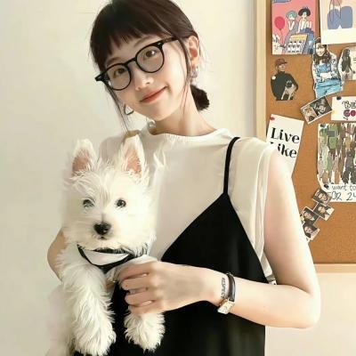 纯情罗曼史第一季 封面