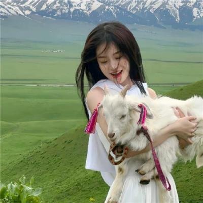 霹雳火秦明 封面