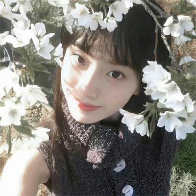 薄樱鬼第一季 封面